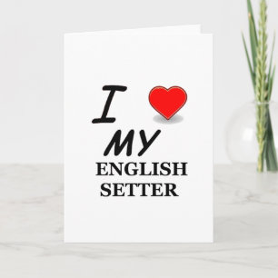 Tarjeta Amo a mi setter inglés