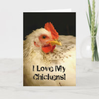 ¡Amo A Mis Pollos!