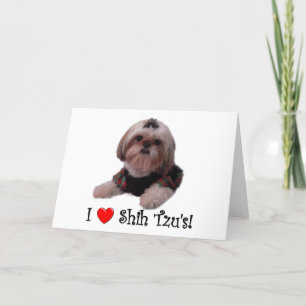 Tarjeta Amo a Shih Tzu