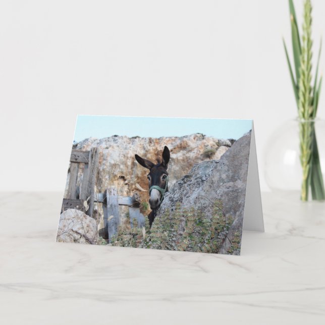 Tarjeta ¡Amo burros! (Anverso)