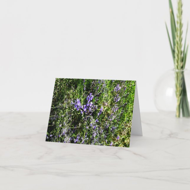 Tarjeta Amo Lavanda..... (Anverso)