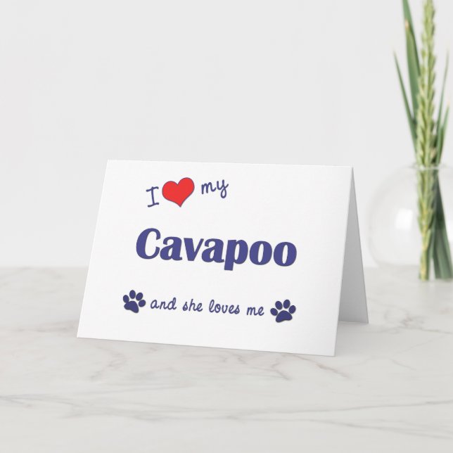 Tarjeta Amo mi Cavapoo (el perro femenino) (Anverso)