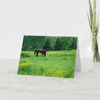 TARJETA ¡AMO MI HORSIE!