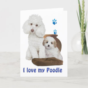 Tarjeta Amo mi Poodle