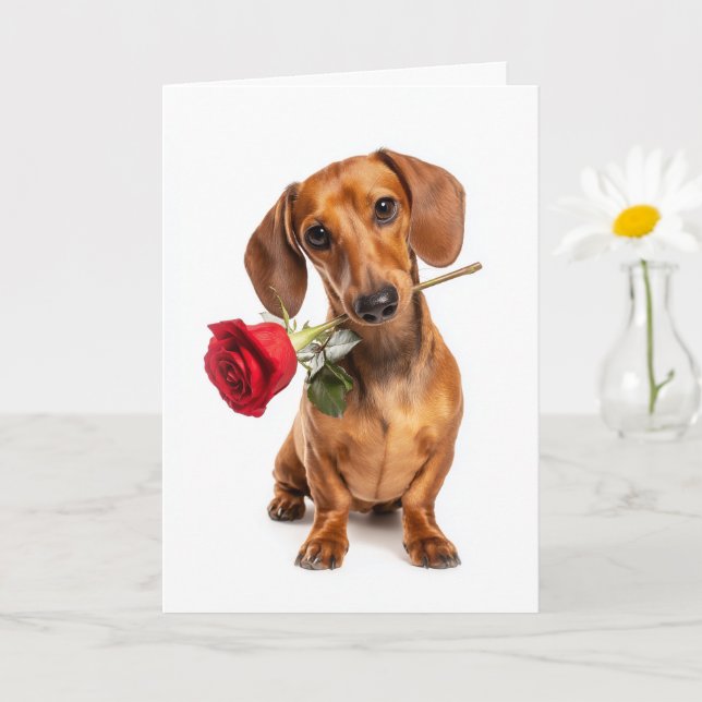 Tarjeta Amor de cachorro de San Valentín Dachshund con una (Planta pequeña)