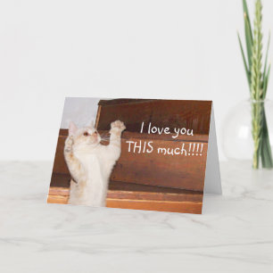 Tarjeta amor de gato Ktty