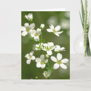 Tarjeta Amor de las flores