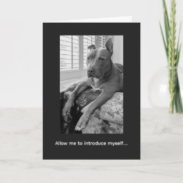 Tarjeta Amor de Pitbull McLovin