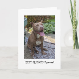Tarjeta Amor de Pitbull Pensando en Ti