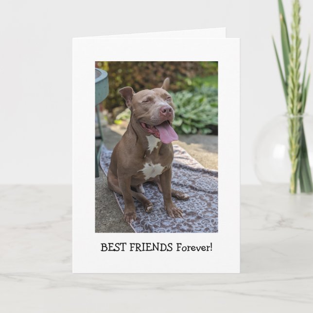 Tarjeta Amor de Pitbull Pensando en Ti (Anverso)