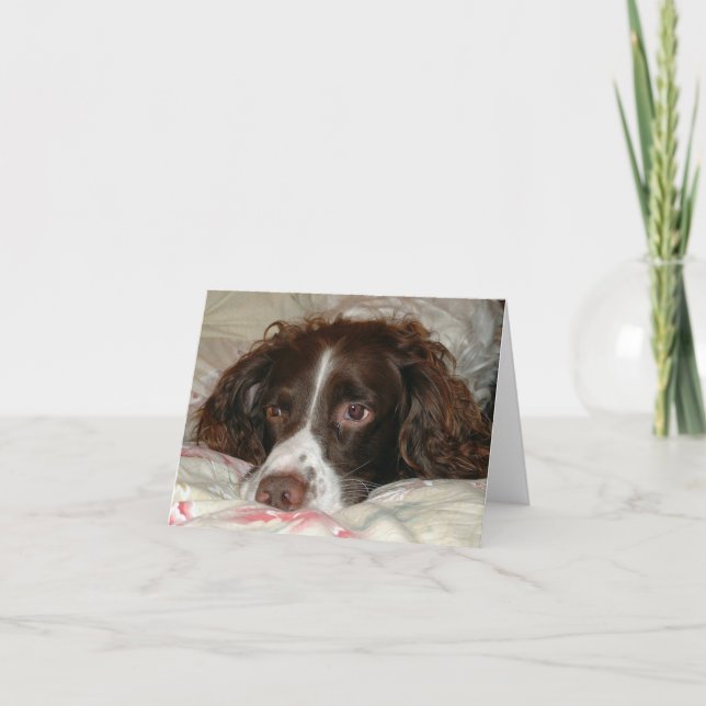 Tarjeta Amor de Springer (Anverso)