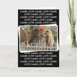 Tarjeta AMOR del camello - NINGUNOS LÍMITES