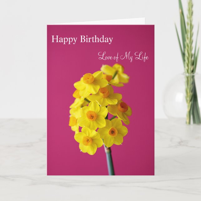 Tarjeta Amor del feliz cumpleaños de mi vida (Anverso)