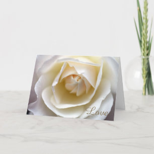 Tarjeta Amor del rosa blanco