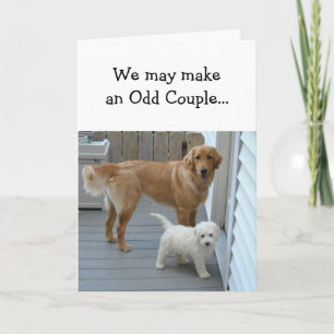 Tarjeta Amor del socio del aniversario con humor lindo del