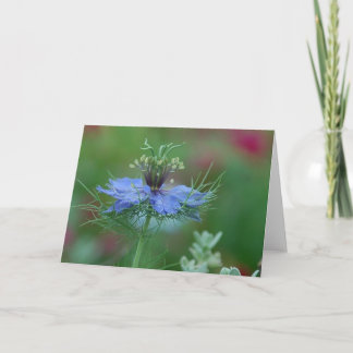 Tarjeta Amor en una niebla