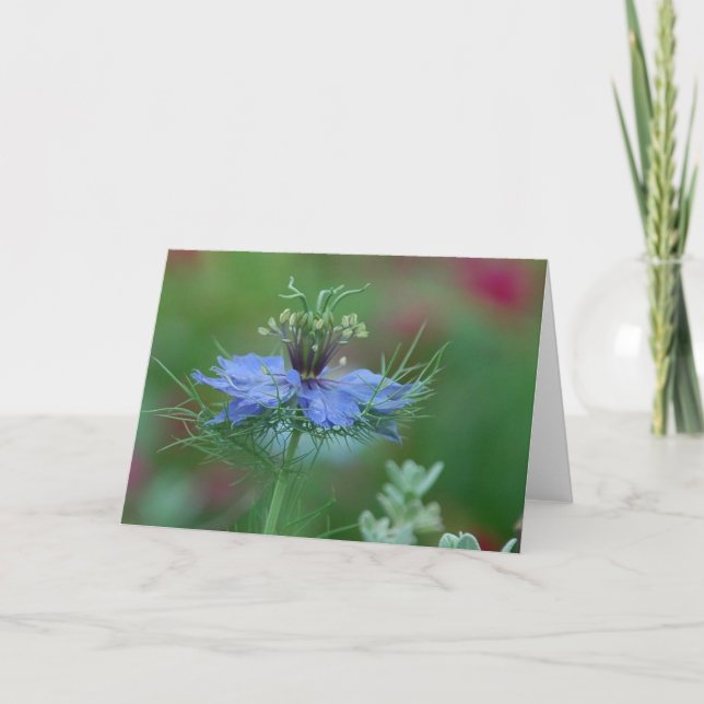 Tarjeta Amor en una niebla (Anverso)