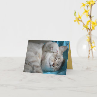Tarjeta Amor gatito