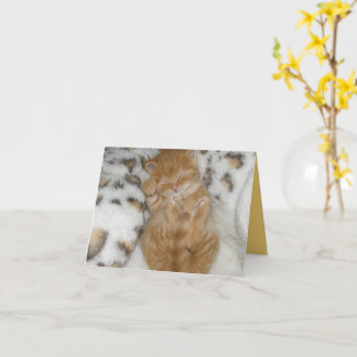 Tarjeta Amor gatito