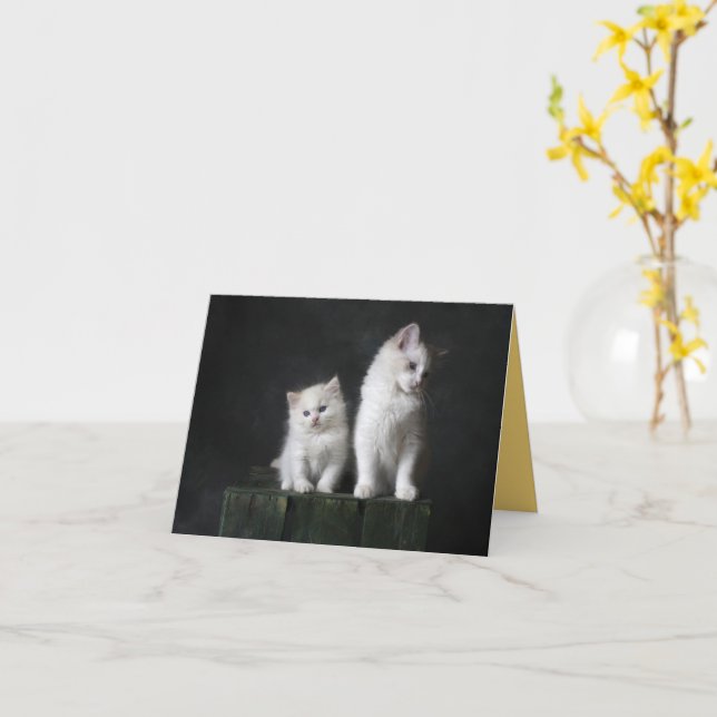 Tarjeta Amor gatito (flor amarilla)