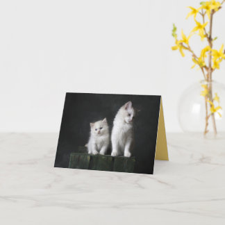 Tarjeta Amor gatito