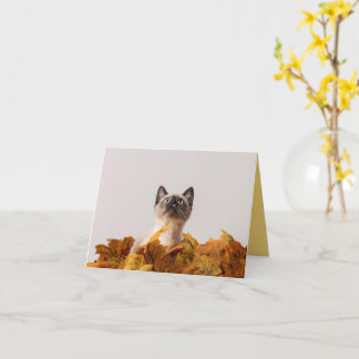 Tarjeta Amor gatito