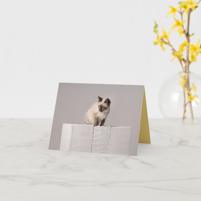 Tarjeta Amor gatito (flor amarilla)