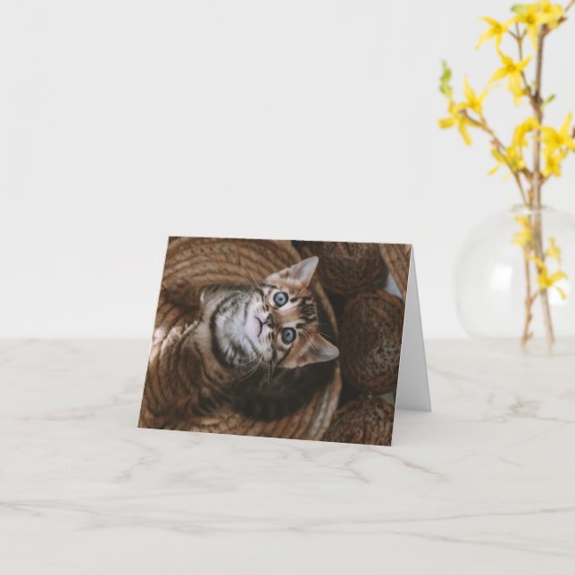 Tarjeta Amor gatito (flor amarilla)