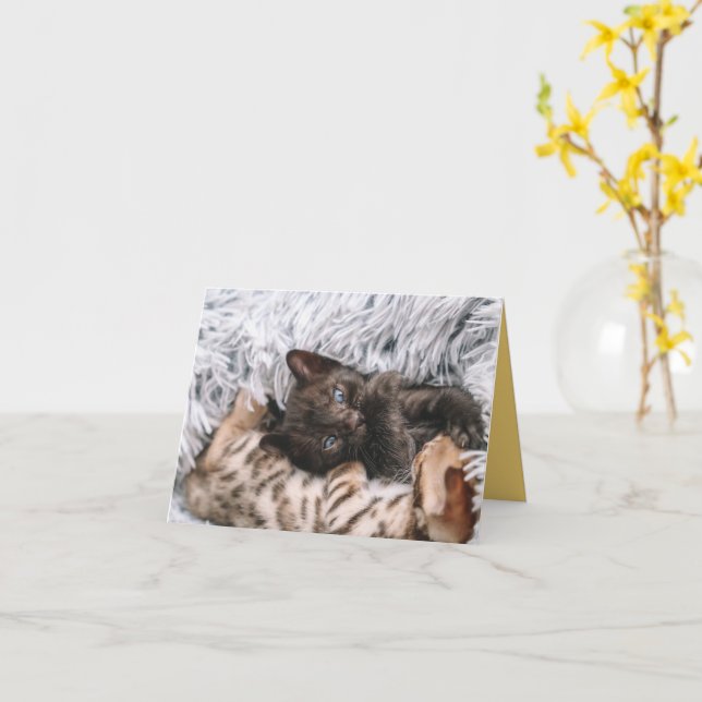 Tarjeta Amor gatito (flor amarilla)