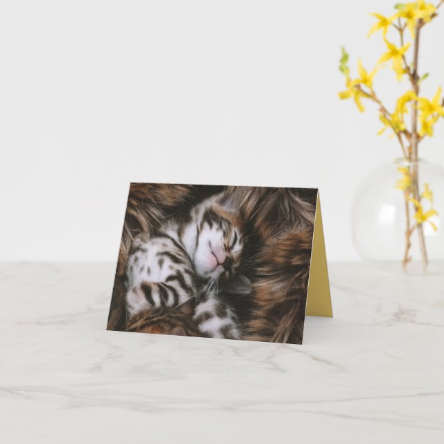 Tarjeta Amor gatito (flor amarilla)