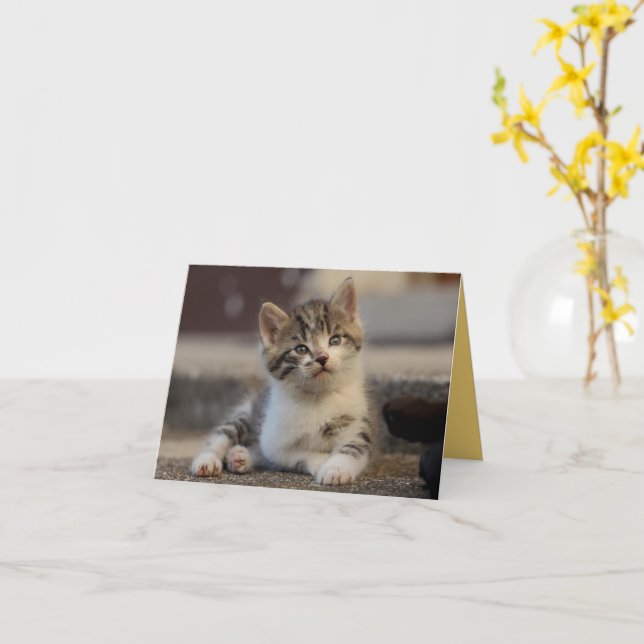 Tarjeta Amor gatito (flor amarilla)