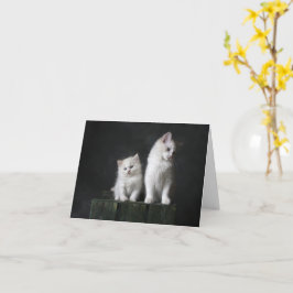Tarjeta Amor gatito