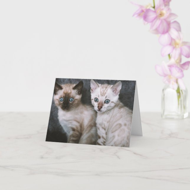 Tarjeta Amor gatito (Orquídea)