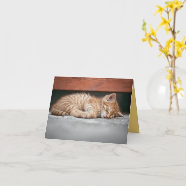 Tarjeta Amor gatito (flor amarilla)