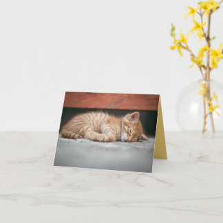 Tarjeta Amor gatito