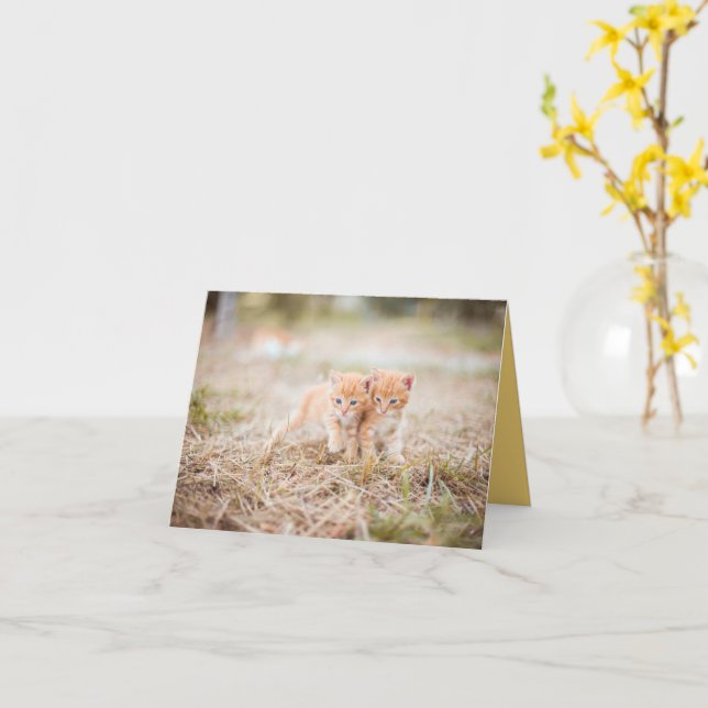 Tarjeta Amor gatito (flor amarilla)