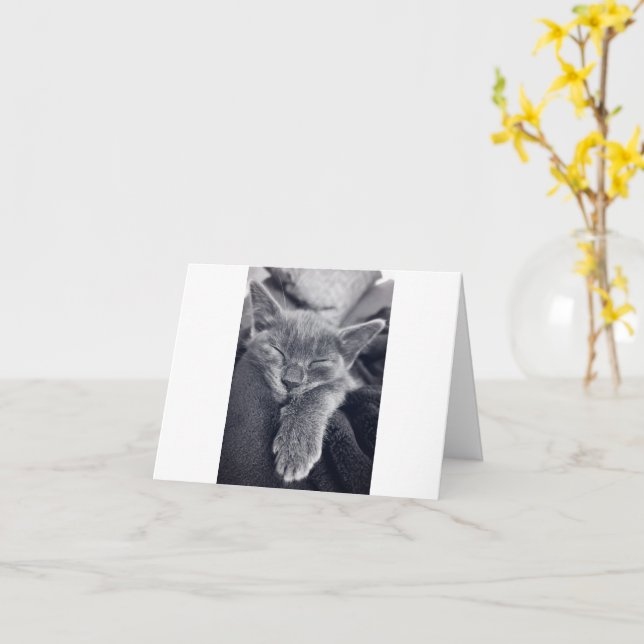 Tarjeta Amor gatito (flor amarilla)