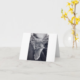 Tarjeta Amor gatito