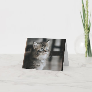 Tarjeta Amor gatito