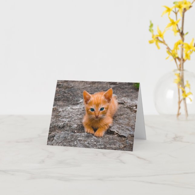 Tarjeta Amor gatito (flor amarilla)