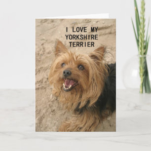 Tarjeta amor por yorkshire terrier con imagen negro y fueg