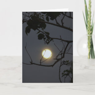 Tarjeta Amor total de la luna