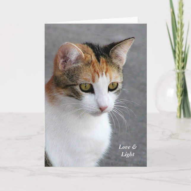 Tarjeta Amor y luz del gato de calicó (Anverso)
