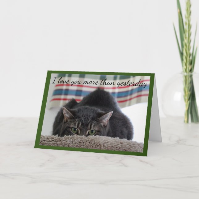 Tarjeta Amores grises del gato de Tabby usted (Anverso)