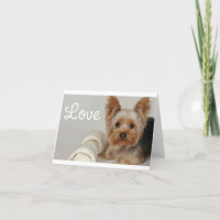 Tarjeta amorosa en blanco de perro portero de York
