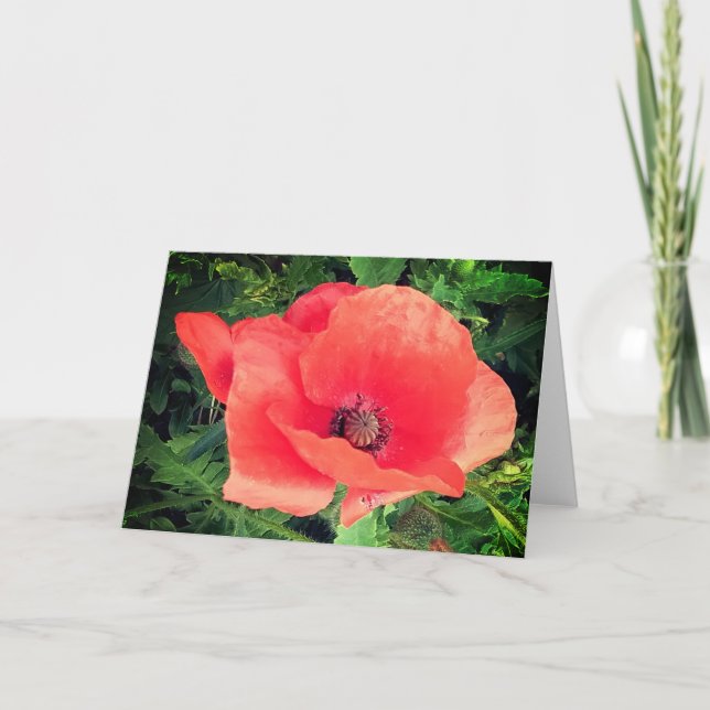 Tarjeta Amortiguador rojo (Anverso)