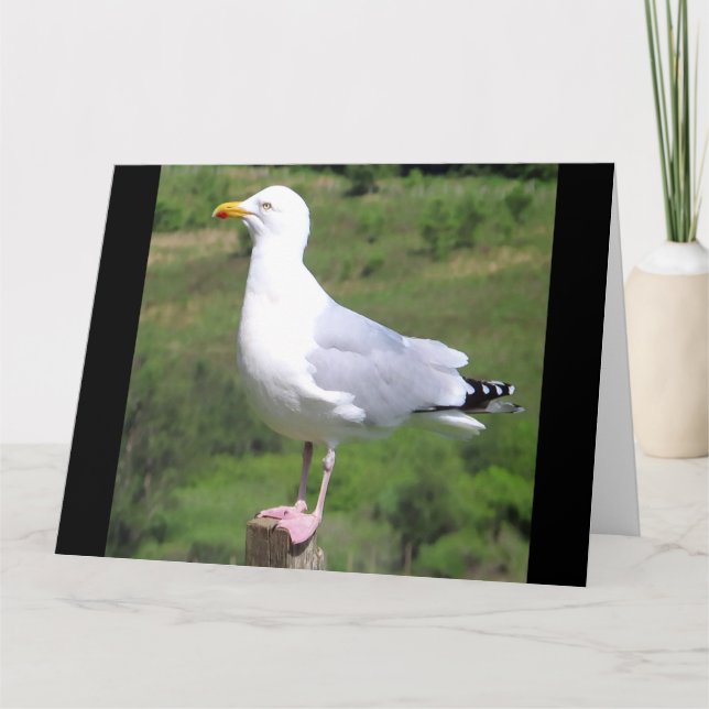 Tarjeta Añadir texto de pie de gaviota (Anverso)