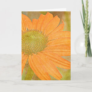 Tarjeta anaranjada del personalizable del arte del