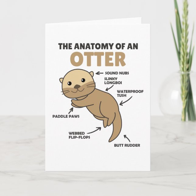 Tarjeta Anatomía De Explicación De Otter Cute De Un Otter (Anverso)