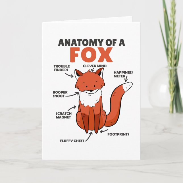 Tarjeta Anatomía De La Explicación De Fox Dulce (Anverso)